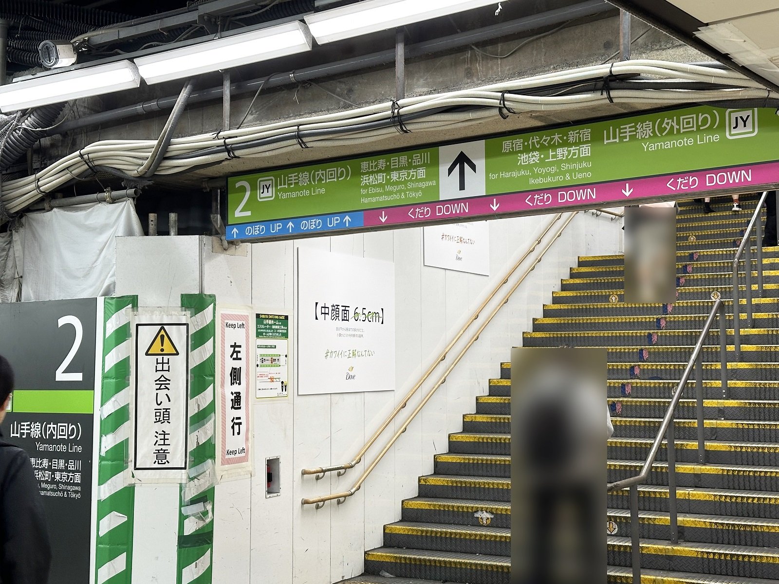 (3ページ目) 「ルッキズム丸出し」ダヴの駅広告が炎上、逆効果になった背景について原田曜平氏が解説「多様性を押し付けられる若者にとっては“圧 ...